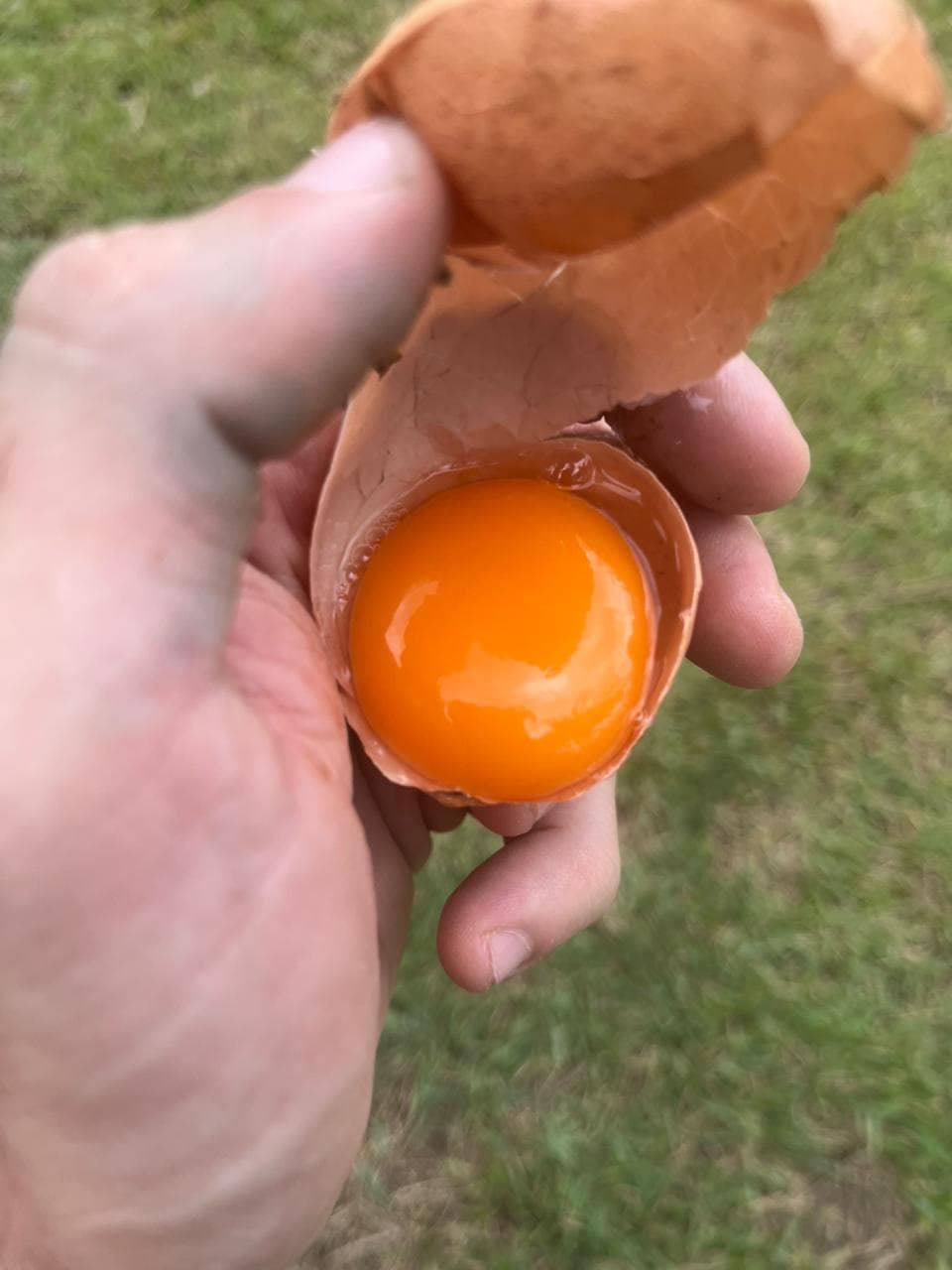 Ovo quebrado com gema laranja